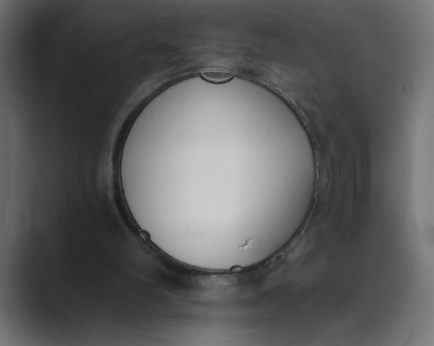 X0000089390102200706291342