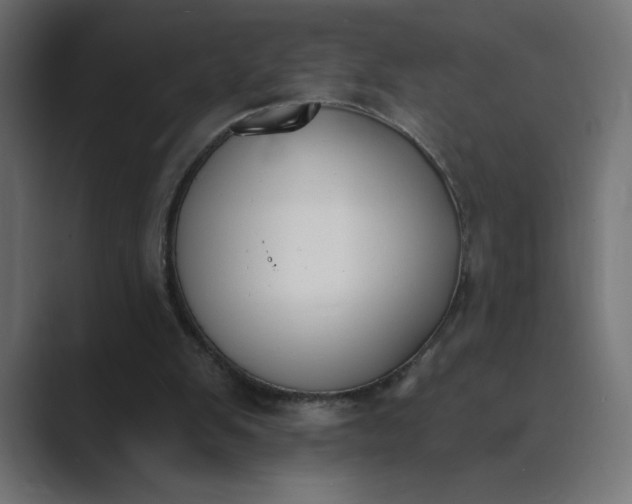 X0000089390103200706291342
