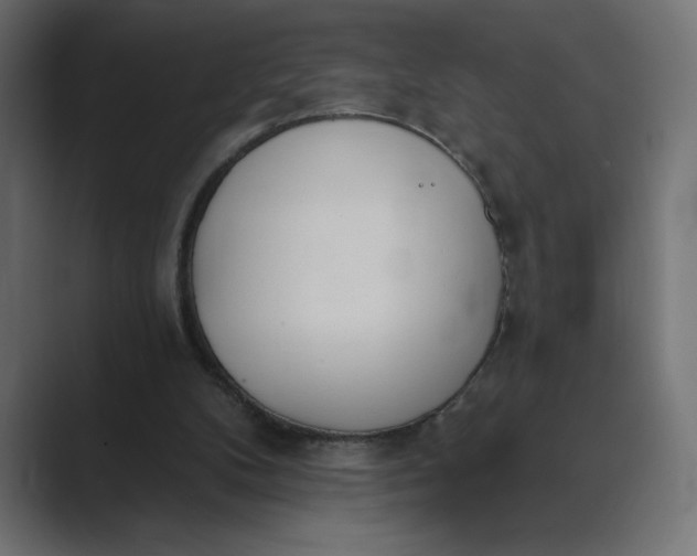 X0000089390104200706291342