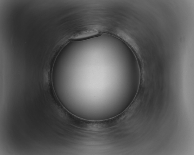 X0000089390105200706291342
