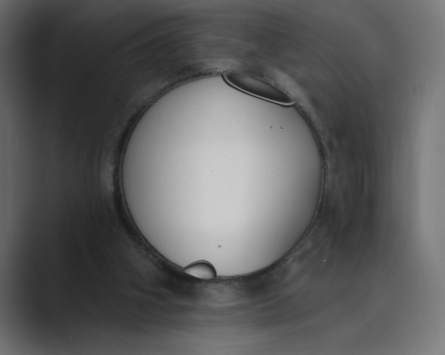 X0000089390106200706291342