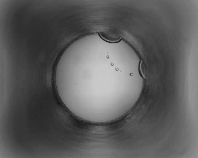 X0000089390107200706291342