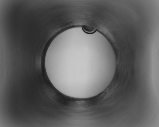 X0000089390108200706291342