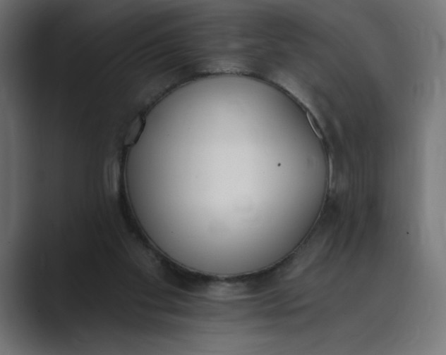 X0000089390109200706291342