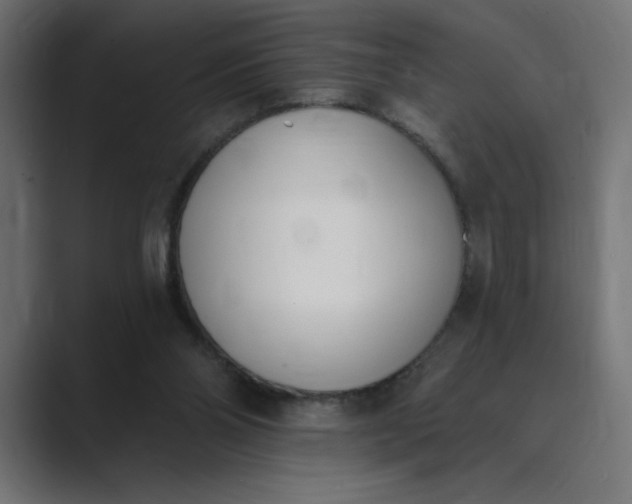 X0000089390110200706291342