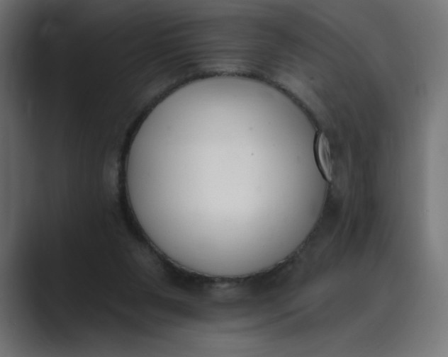 X0000089390111200706291342