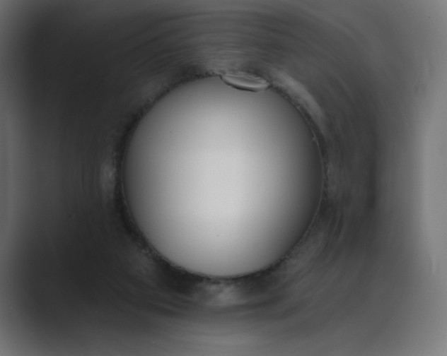 X0000089390113200706291342