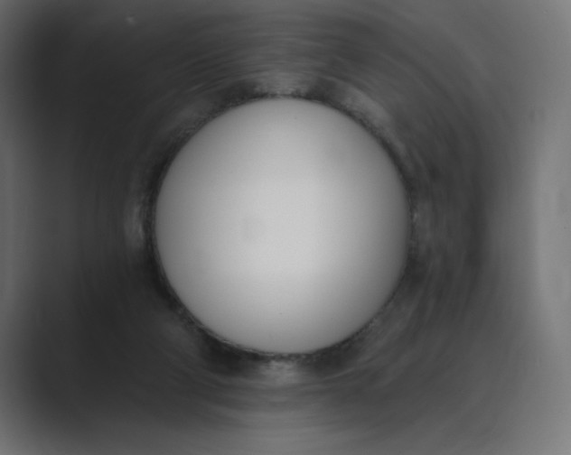X0000089390114200706291341