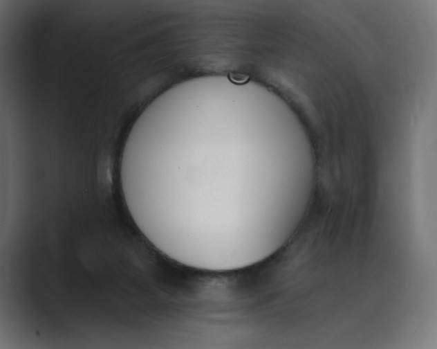 X0000089390115200706291341