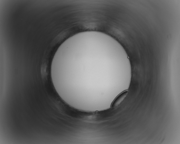 X0000089390116200706291341