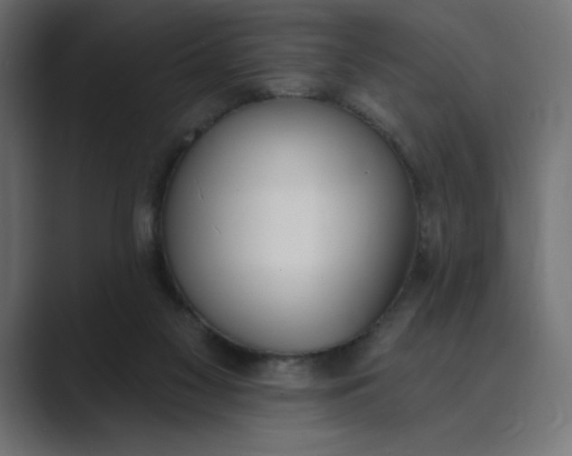 X0000089390117200706291341
