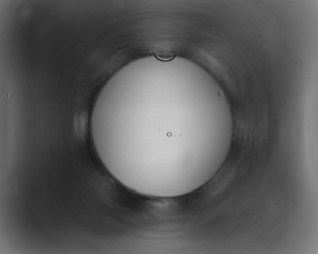 X0000089390118200706291341