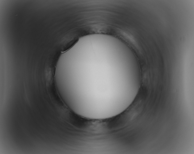 X0000089390121200706291341