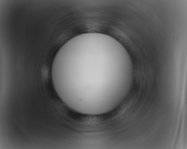 X0000089390123200706291341
