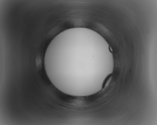 X0000089390124200706291341