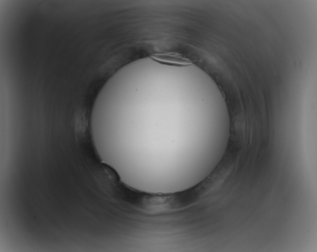 X0000089390129200706291341