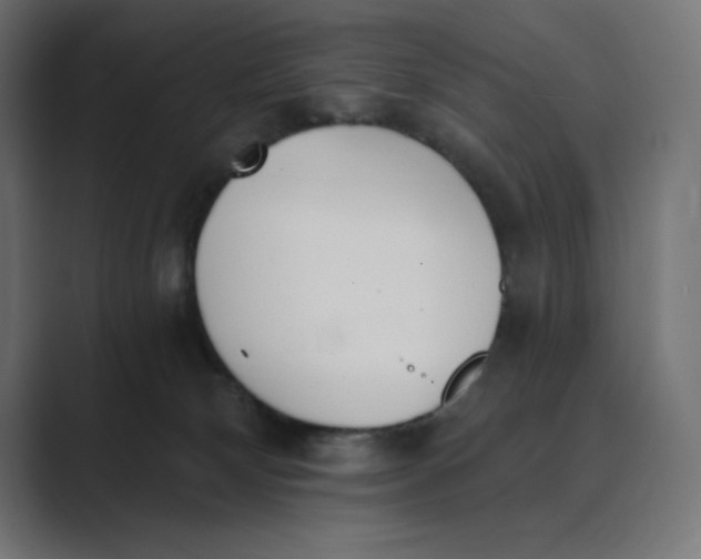 X0000089390132200706291341
