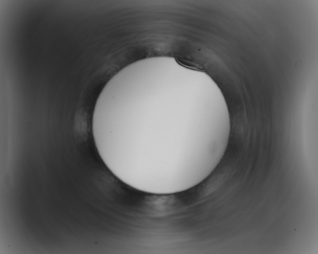 X0000089390135200706291341