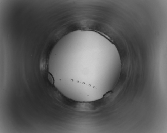 X0000089390137200706291341