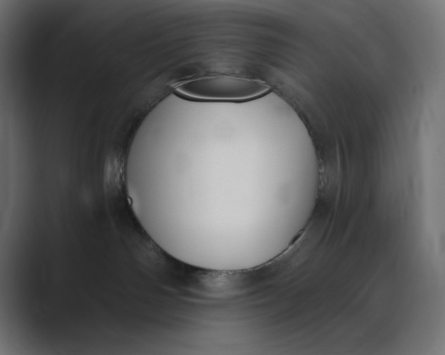 X0000089390142200706291341