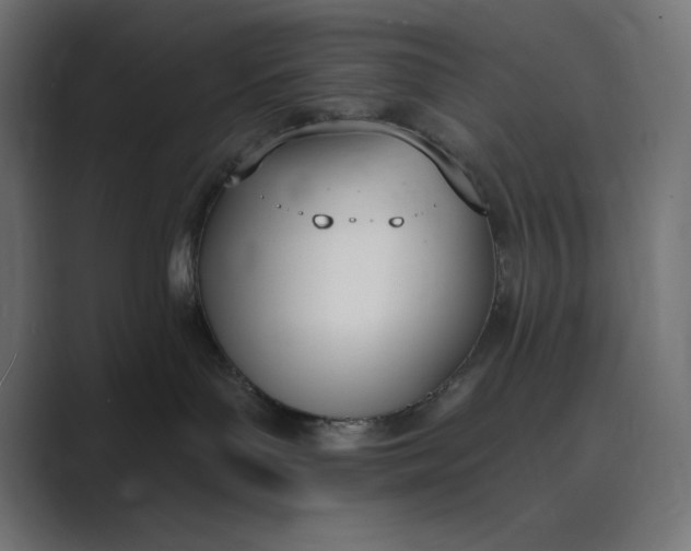 X0000089390143200706291341