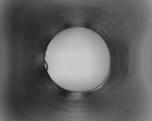 X0000089390144200706291341