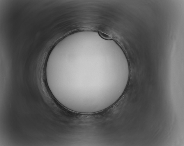 X0000089390145200706291341