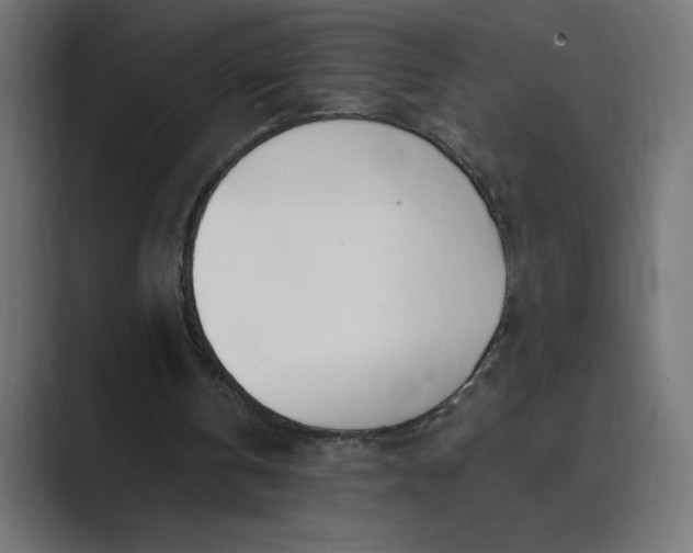 X0000089390146200706291341