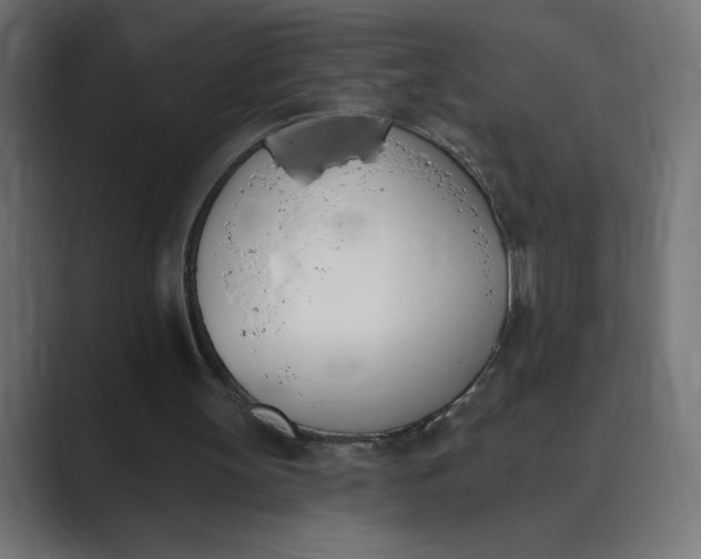 X0000089390147200706291341
