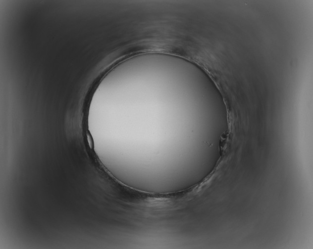 X0000089390150200706291341
