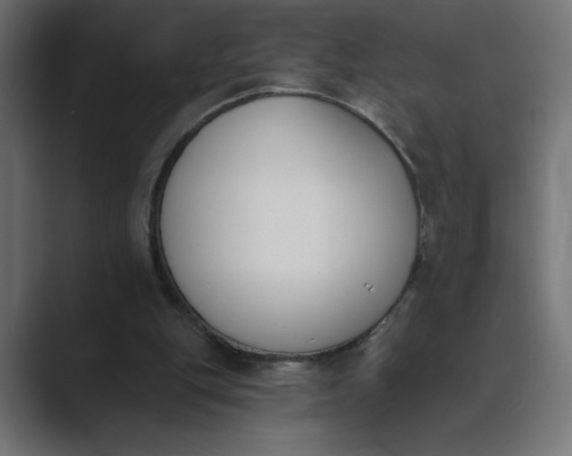 X0000089390151200706291341