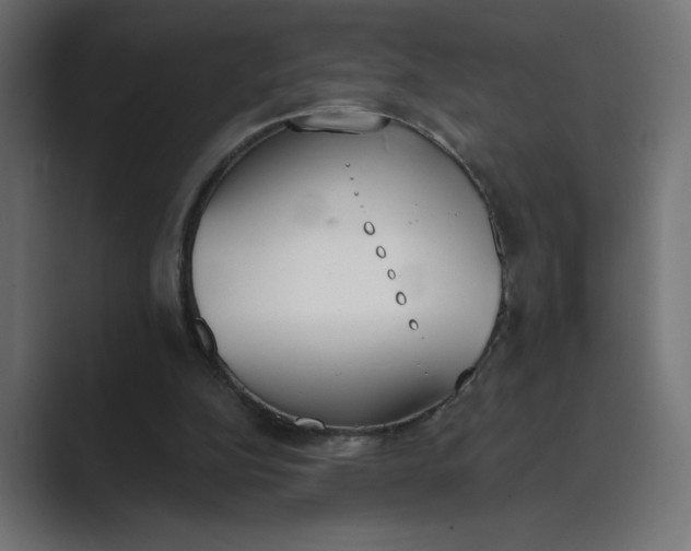 X0000089390152200706291341