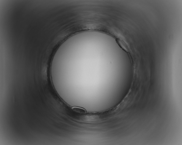 X0000089390154200706291341
