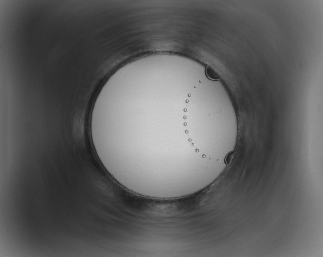 X0000089390155200706291341