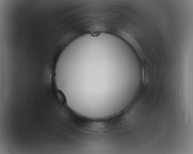 X0000089390157200706291341