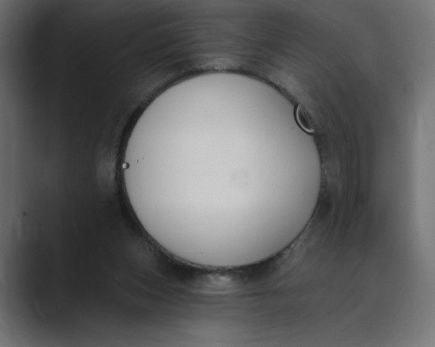 X0000089390159200706291341
