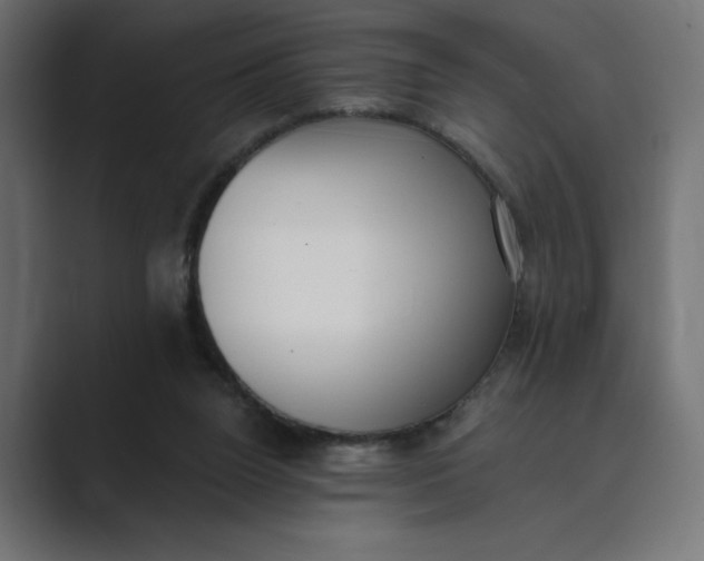 X0000089390160200706291341