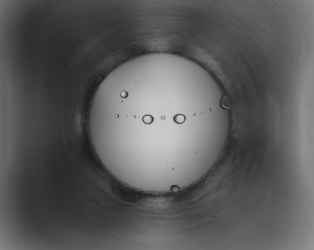 X0000089390161200706291341