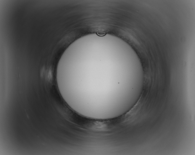 X0000089390166200706291341