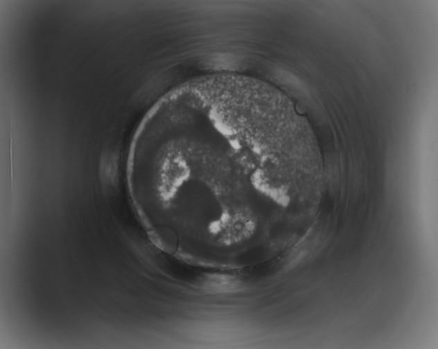 X0000089390167200706291341
