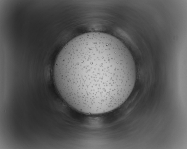 X0000089390169200706291341