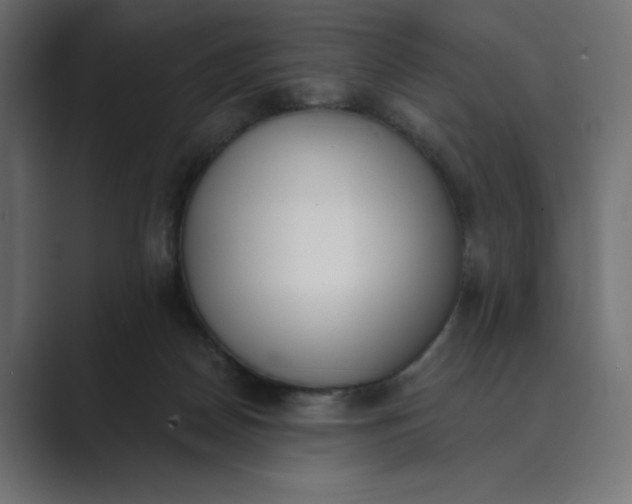 X0000089390170200706291341