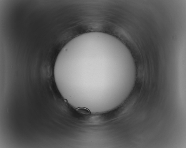 X0000089390173200706291341