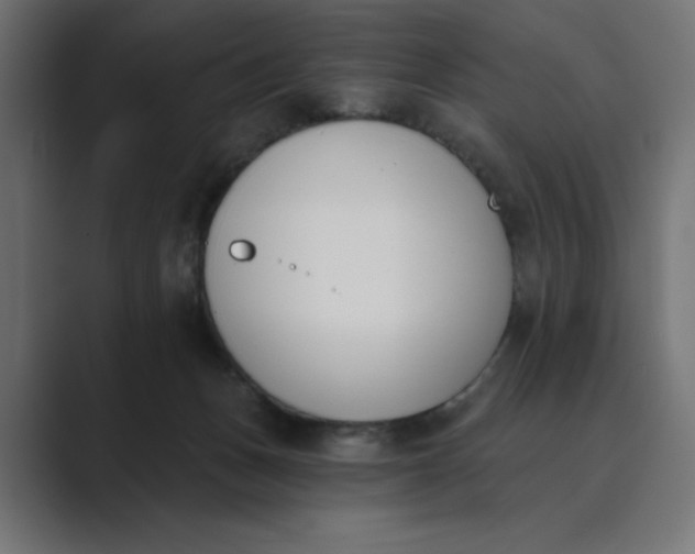 X0000089390175200706291341