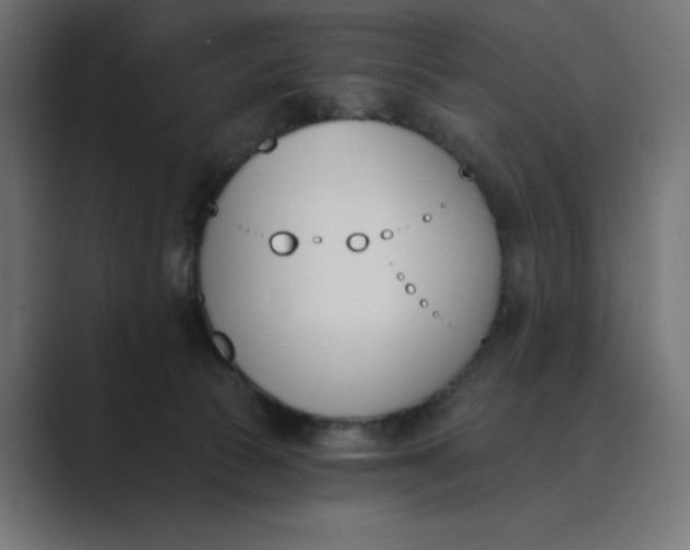X0000089390177200706291341