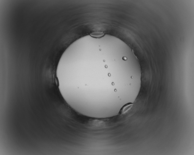 X0000089390180200706291341