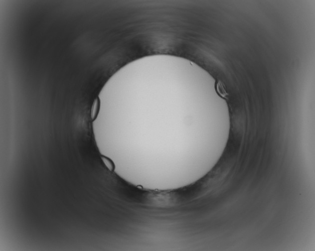 X0000089390181200706291341