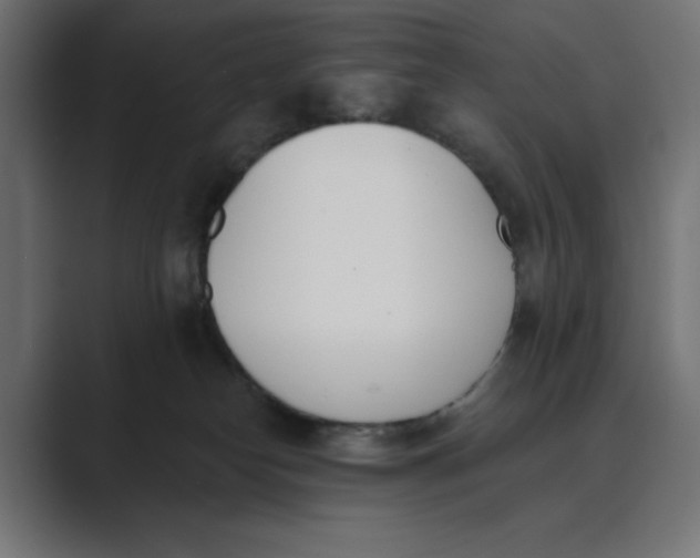 X0000089390182200706291341