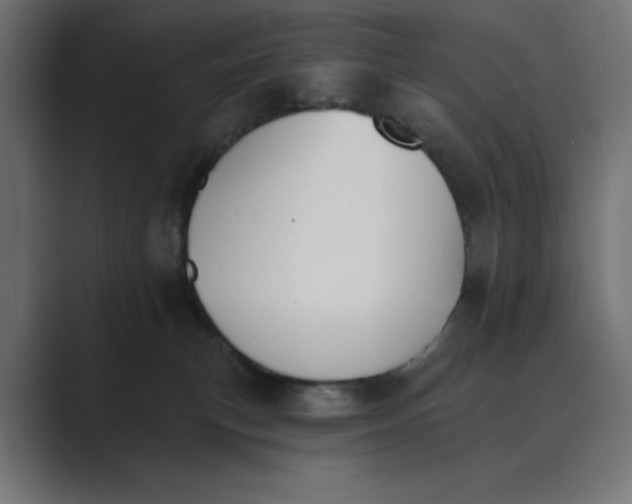 X0000089390183200706291341