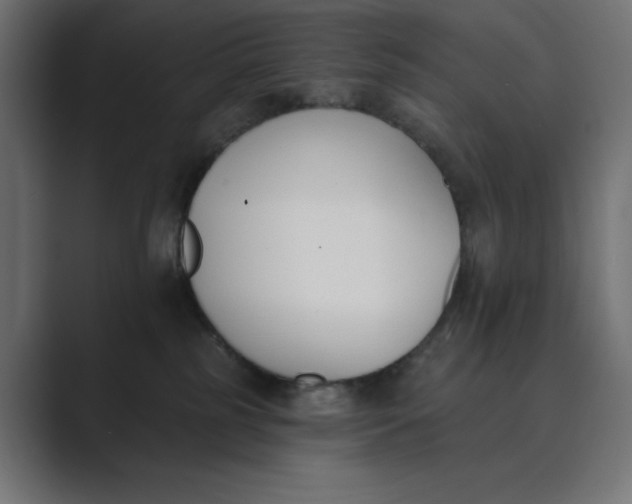 X0000089390185200706291341